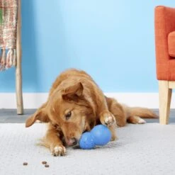 Frisco Snowman Rubber Treat Dispenser Dog Toy -Ultimate Pet Shop 164769 PT4. AC SS1800 V1563808954