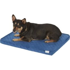 Frisco Quilted Orthopedic Pillow Cat & Dog Bed W/Removable Cover -Ultimate Pet Shop 165196 PT2. AC SS1800 V1568726226