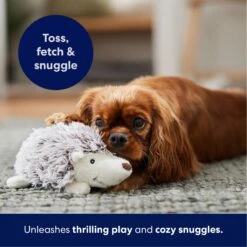 Frisco Hedgehog Plush Squeaky Dog Toy -Ultimate Pet Shop 174678 PT4. AC SS1800 V1695670748