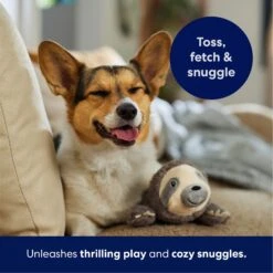 Frisco Sloth Plush Squeaky Dog Toy -Ultimate Pet Shop 174681 PT4. AC SS1800 V1695671029
