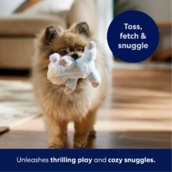 Frisco Lamb Plush Squeaky Dog Toy -Ultimate Pet Shop 174686 PT4. AC SS1800 V1695659156