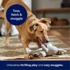 Frisco Bunny Textured Plush Squeaky Dog Toy -Ultimate Pet Shop 174693 PT4. AC SS1800 V1695671088