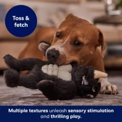 Frisco Rhino Muscle Plush Squeaky Dog Toy -Ultimate Pet Shop 174719 PT5. AC SS1800 V1694182068