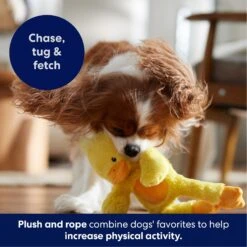 Frisco Duck Plush With Inside Rope Squeaky Dog Toy -Ultimate Pet Shop 174723 PT4. AC SS1800 V1695671059