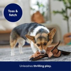 Frisco Beaver Stuffing-Free Flat Plush Squeaky Dog Toy -Ultimate Pet Shop 174729 PT4. AC SS1800 V1695671063