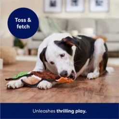 Frisco Mallard Stuffing-Free Flat Plush Squeaky Dog Toy -Ultimate Pet Shop 174731 PT5. AC SS1800 V1686579082