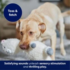 Frisco Llama Bobberz Plush Squeaky Dog Toy -Ultimate Pet Shop 174741 PT4. AC SS1800 V1695671063