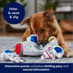 Frisco Rocket Ship Hide & Seek Puzzle Plush Squeaky Dog Toy -Ultimate Pet Shop 174753 PT4. AC SS1800 V1695670750