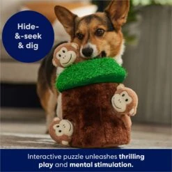 Frisco Monkeys In Tree Hide & Seek Puzzle Plush Squeaky Dog Toy -Ultimate Pet Shop 174759 PT5. AC SS1800 V1702598595