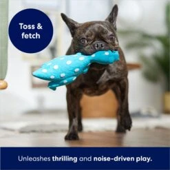 Frisco Dinosaur Latex Squeaky Dog Toy -Ultimate Pet Shop 174770 PT3. AC SS1800 V1686579138