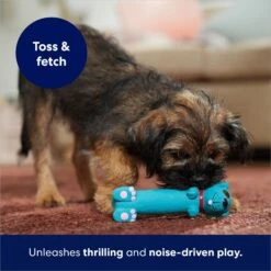 Frisco Latex Squeaky Puppy Toy -Ultimate Pet Shop 174775 PT5. AC SS1800 V1691784247