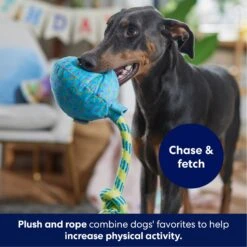 Frisco Birthday Balloon Plush With Rope Squeaky Dog Toy -Ultimate Pet Shop 177807 PT3. AC SS1800 V1695241973