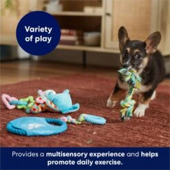 Frisco Little Friends Plush, Flyer & TPR Variety Pack Dog Toy -Ultimate Pet Shop 177816 PT5. AC SS1800 V1691783909