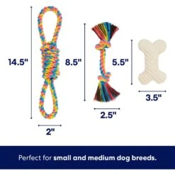 Frisco Jungle Pals Plush & Rope Variety Pack Dog Toy 7 Frisco Jungle Pals Plush & Rope Variety Pack Dog Toy -Ultimate Pet Shop 177819 PT2. AC SS1800 V1686579629