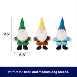 Frisco Gnome Plush Squeaky Dog Toy 6 Frisco Gnome Plush Squeaky Dog Toy -Ultimate Pet Shop 204507 PT1. AC SS1800 V1695748354