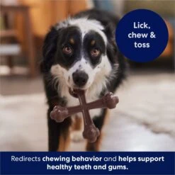 Frisco Bacon Flavor Tough Nylon Dog Chew Toy -Ultimate Pet Shop 213430 PT5. AC SS1800 V1691783968