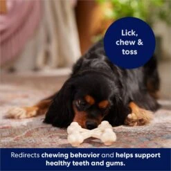 Frisco Chicken Flavor Tough Nylon Dog Chew Toy -Ultimate Pet Shop 213432 PT5. AC SS1800 V1691784031