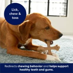 Frisco Peanut Butter Flavor Tough Nylon Dog Chew Toy -Ultimate Pet Shop 213436 PT5. AC SS1800 V1692019972