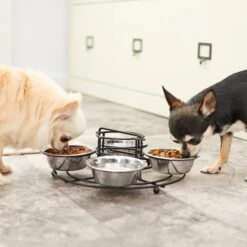 Frisco Multi Pet Feeding 4-Bowls Stainless Steel Dog & Cat Bowls, 0.5 Cup -Ultimate Pet Shop 213787 PT7. AC SS1800 V1599090064