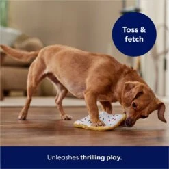 Frisco Frosted Pastry Stuffing-Free Flat Plush Squeaky Dog Toy -Ultimate Pet Shop 213812 PT5. AC SS1800 V1686579088