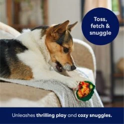 Frisco Burrito Plush Squeaky Dog Toy -Ultimate Pet Shop 213834 PT4. AC SS1800 V1695919984