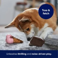 Frisco Ice Cream Sandwich & Ice Cream Cone Latex Squeaky Dog Toy -Ultimate Pet Shop 213840 PT3. AC SS1800 V1695242030