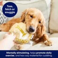 Frisco Gold Medal Round Plush Squeaky Dog Toy -Ultimate Pet Shop 214082 PT6. AC SS1800 V1679069984