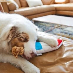 Frisco Summer Fun Plush & Rope Popsicle Dog Toy -Ultimate Pet Shop 214703 PT6. AC SS1800 V1597596505