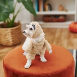 Frisco Front Walking Sloth Dog & Cat Costume -Ultimate Pet Shop 215539 PT8. AC SS1800 V1599141353