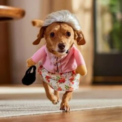 Frisco Front Walking Granny Dog & Cat Costume -Ultimate Pet Shop 215577 PT8. AC SS1800 V1689621333