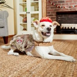 Frisco Zombie Dog & Cat Costume 11 Frisco Zombie Dog & Cat Costume -Ultimate Pet Shop 215624 PT8. AC SS1800 V1599226580