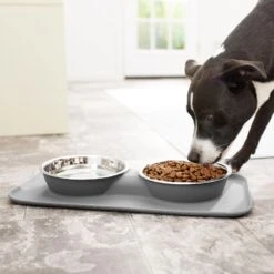 Frisco Heavy Duty Non-Skid Silicone Diner -Ultimate Pet Shop 215979 PT6. AC SS1800 V1599089765