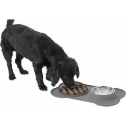 Frisco Silicone Slow Feeder Mat With Stainless Steel Bowl -Ultimate Pet Shop 215983 PT5. AC SS1800 V1605666752