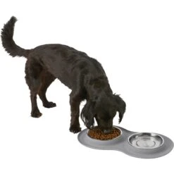 Frisco Double Stainless Steel Pet Bowl With Silicone Mat -Ultimate Pet Shop 215986 PT5. AC SS1800 V1605652436