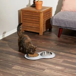 Frisco Double Stainless Steel Pet Bowl With Silicone Mat -Ultimate Pet Shop 215986 PT6. AC SS1800 V1605657710