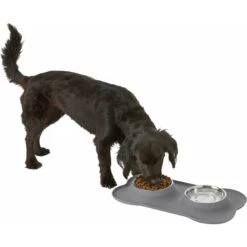 Frisco Silicone Stainless Steel Double Diner Dog & Cat Bowl 12 Frisco Silicone Stainless Steel Double Diner Dog & Cat Bowl -Ultimate Pet Shop 215990 PT5. AC SS1800 V1605662218