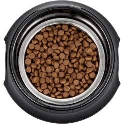 Frisco Stainless Steel Bowl With Elevated Stand -Ultimate Pet Shop 216020 PT4. AC SS1800 V1591020427