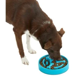 Frisco Bone Shaped Ridges Slow Feed Bowl 10 Frisco Bone Shaped Ridges Slow Feed Bowl -Ultimate Pet Shop 216041 PT6. AC SS1800 V1605664049