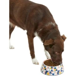 Frisco Colorful Geometric Melamine Bowl -Ultimate Pet Shop 216054 PT6. AC SS1800 V1605658026