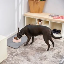 Frisco Southwest Melamine Bowl -Ultimate Pet Shop 216064 PT7. AC SS1800 V1605653262