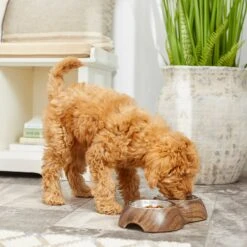 Frisco Double Stainless Steel Bowl, Wood Design -Ultimate Pet Shop 216068 PT7. AC SS1800 V1605666481