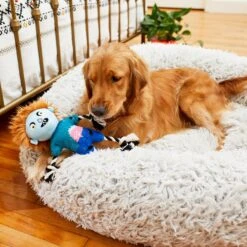 Frisco Zombie Boy Plush With Rope Squeaky Dog Toy -Ultimate Pet Shop 218569 PT6. AC SS1800 V1597599376