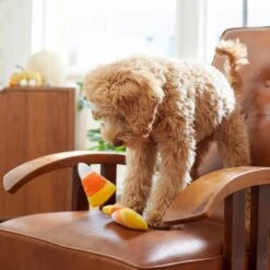 Frisco Halloween Candy Corn Plush Squeaky Dog Toy -Ultimate Pet Shop 218619 PT6. AC SS1800 V1597599676