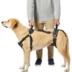 Frisco Front & Rear Lift Handicapped Support Dog Harness -Ultimate Pet Shop 220372 PT5. AC SS1800 V1605749597
