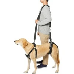 Frisco Front & Rear Lift Handicapped Support Dog Harness -Ultimate Pet Shop 220372 PT6. AC SS1800 V1605758261