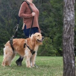 Frisco Front & Rear Lift Handicapped Support Dog Harness -Ultimate Pet Shop 220372 PT7. AC SS1800 V1605738439