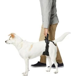Frisco Rear Lift Handicapped Support Dog Harness -Ultimate Pet Shop 220374 PT5. AC SS1800 V1605743213