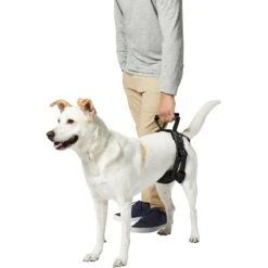 Frisco Rear Lift Handicapped Support Dog Harness -Ultimate Pet Shop 220374 PT6. AC SS1800 V1605755228