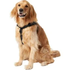 Frisco Nylon Step In Back Clip Dog Harness -Ultimate Pet Shop 220519 PT2. AC SS1800 V1605591714