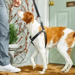 Frisco Nylon Step In Back Clip Dog Harness -Ultimate Pet Shop 220519 PT4. AC SS1800 V1605582116